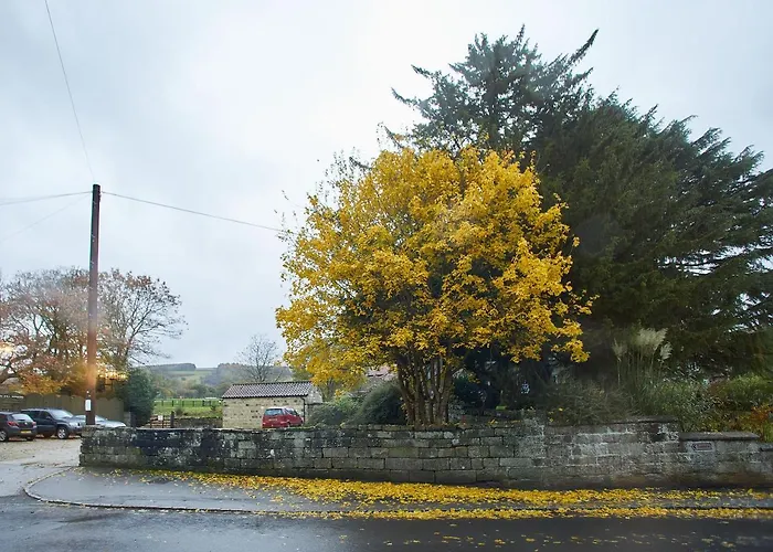 Host & Stay - Rosella Cottage